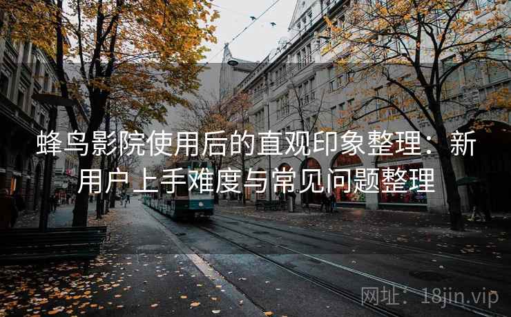 蜂鸟影院使用后的直观印象整理：新用户上手难度与常见问题整理  第2张