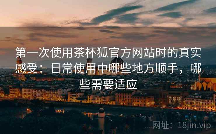 第一次使用茶杯狐官方网站时的真实感受：日常使用中哪些地方顺手，哪些需要适应