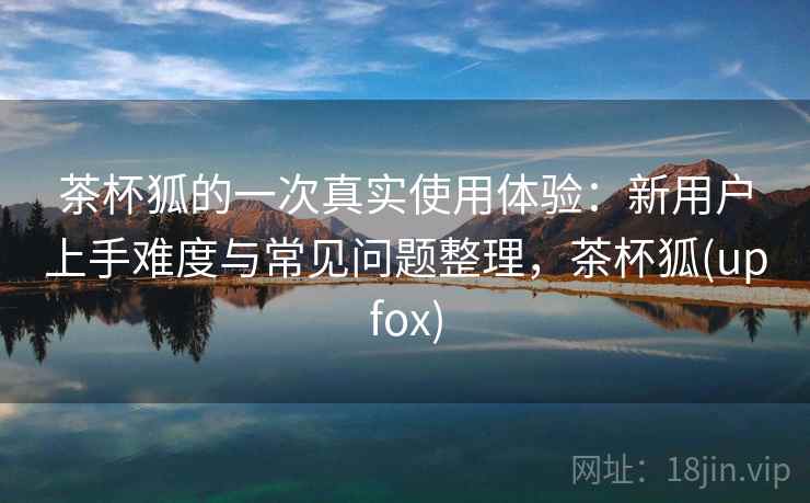茶杯狐的一次真实使用体验：新用户上手难度与常见问题整理，茶杯狐(upfox)  第2张