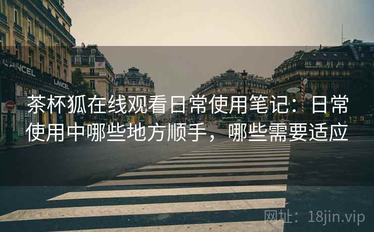 茶杯狐在线观看日常使用笔记：日常使用中哪些地方顺手，哪些需要适应  第2张