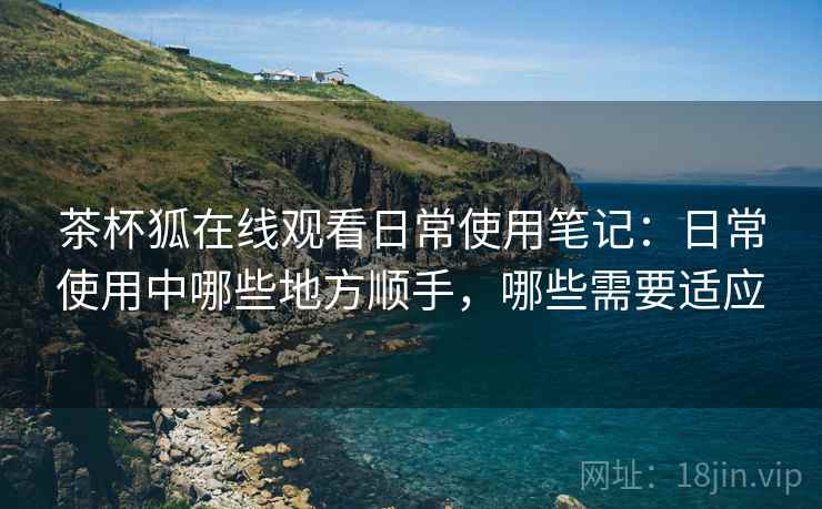 茶杯狐在线观看日常使用笔记：日常使用中哪些地方顺手，哪些需要适应  第1张
