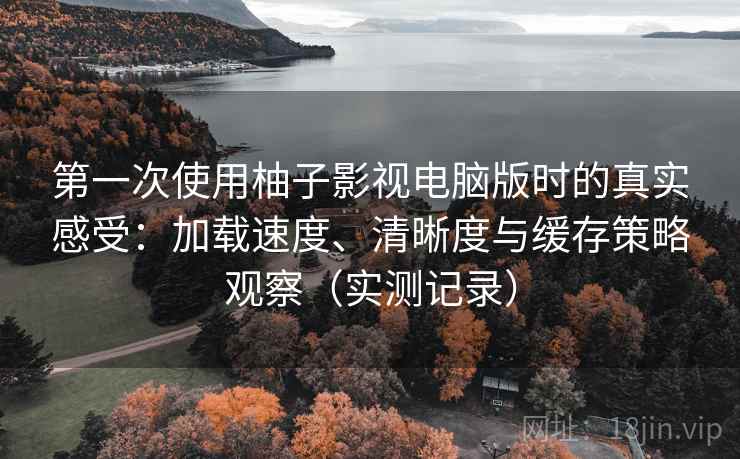 第一次使用柚子影视电脑版时的真实感受：加载速度、清晰度与缓存策略观察（实测记录）