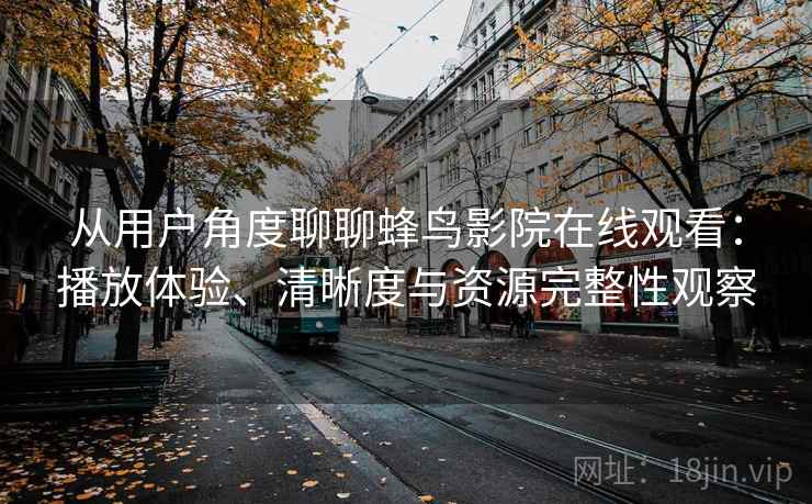 从用户角度聊聊蜂鸟影院在线观看：播放体验、清晰度与资源完整性观察  第2张