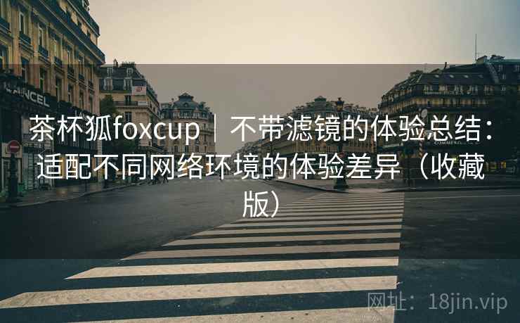 茶杯狐foxcup｜不带滤镜的体验总结：适配不同网络环境的体验差异（收藏版）  第2张