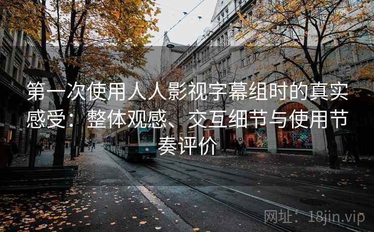 第一次使用人人影视字幕组时的真实感受：整体观感、交互细节与使用节奏评价